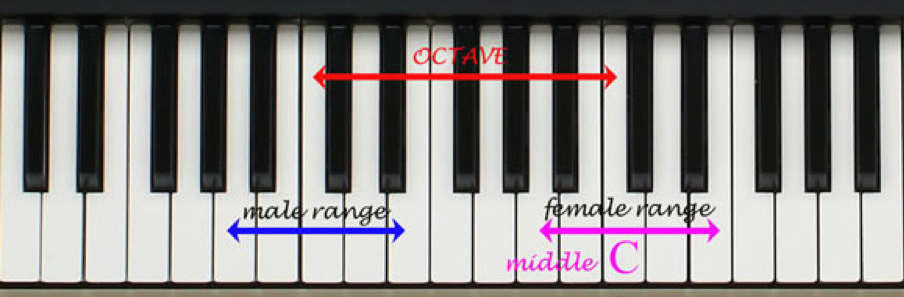 Range of Male and Female voices